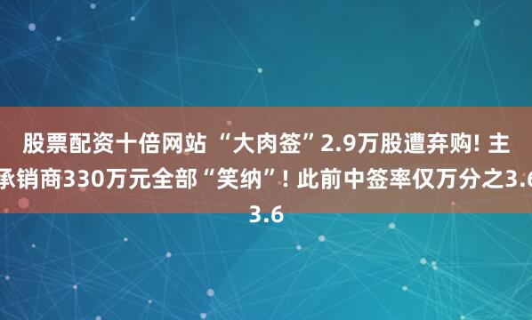 股票配资十倍网站 “大肉签”2.9万股遭弃购! 主承销商330万元全部“笑纳”! 此前中签率仅万分之3.6