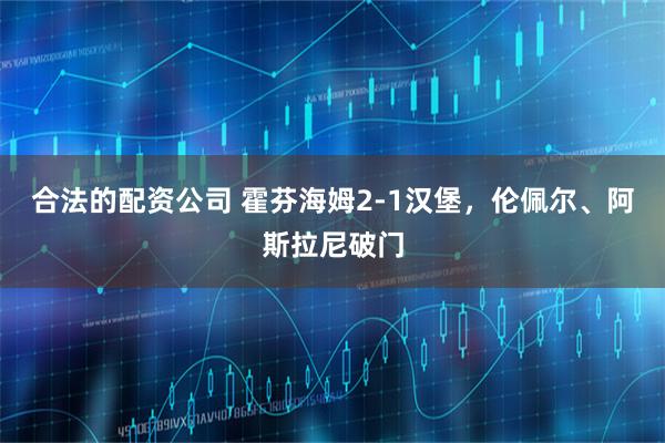 合法的配资公司 霍芬海姆2-1汉堡，伦佩尔、阿斯拉尼破门